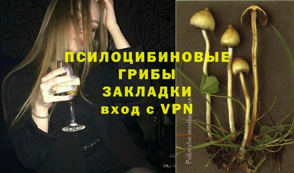 прущая мука Бронницы